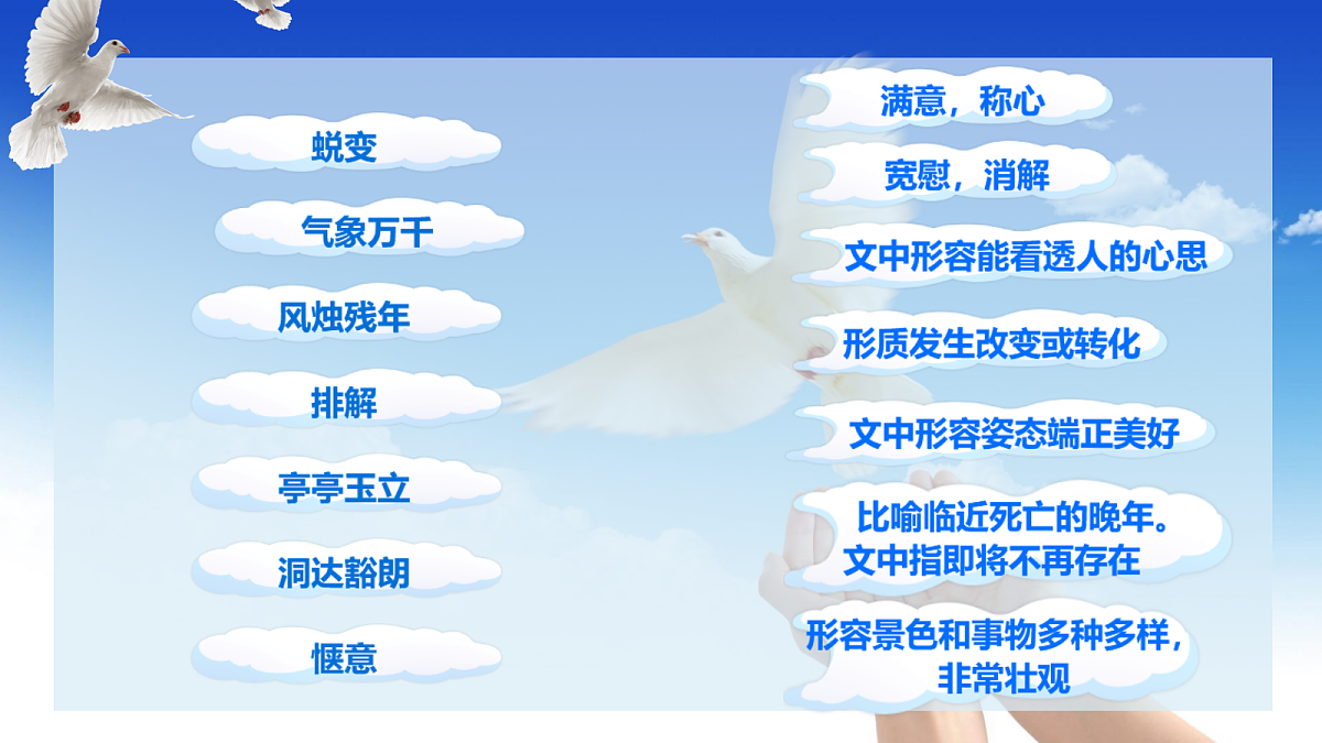 17449119第6页