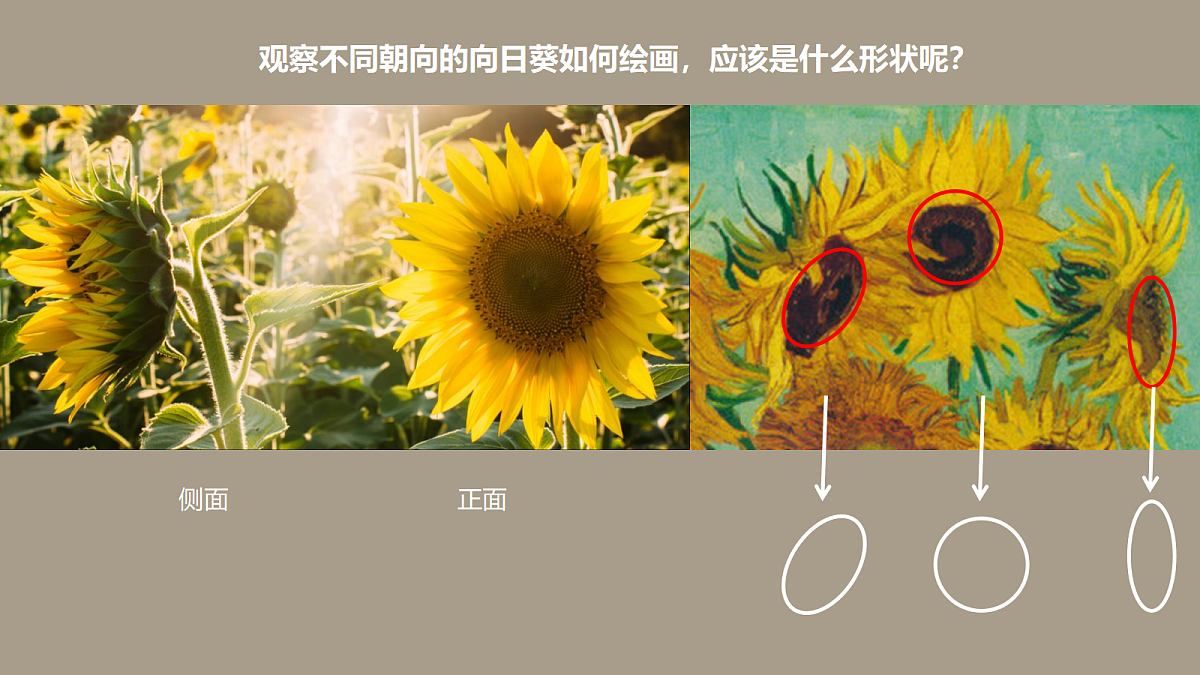 17449403第8页