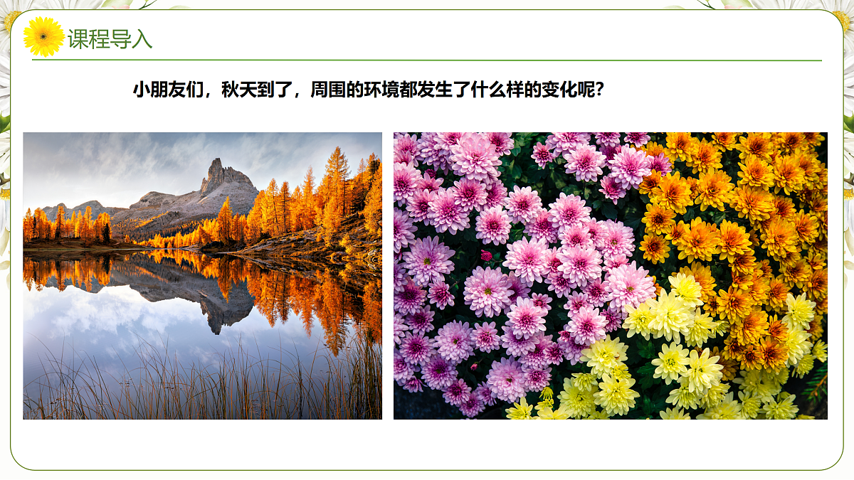 17449407第6页