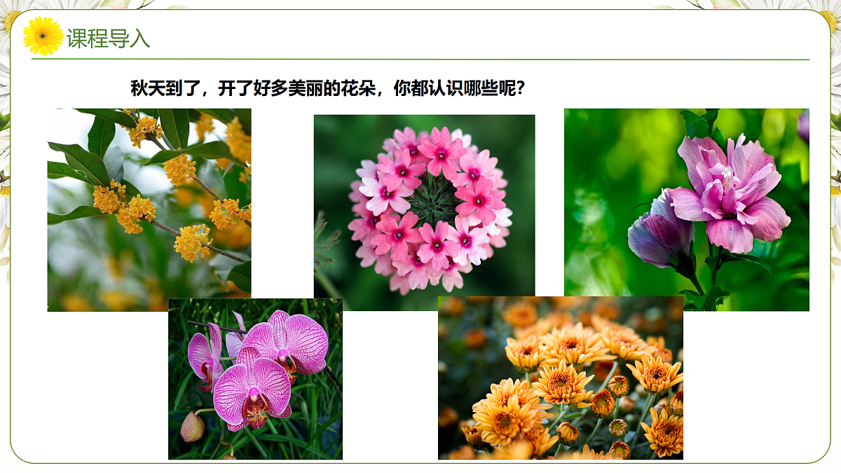 17449407第7页