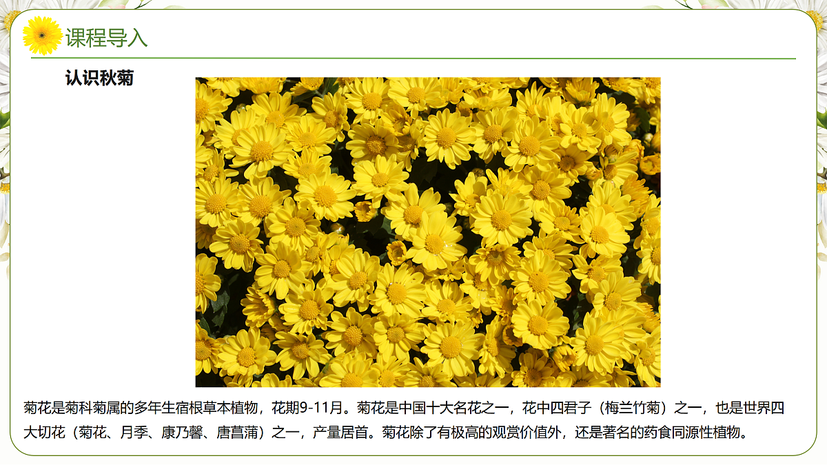 17449407第8页