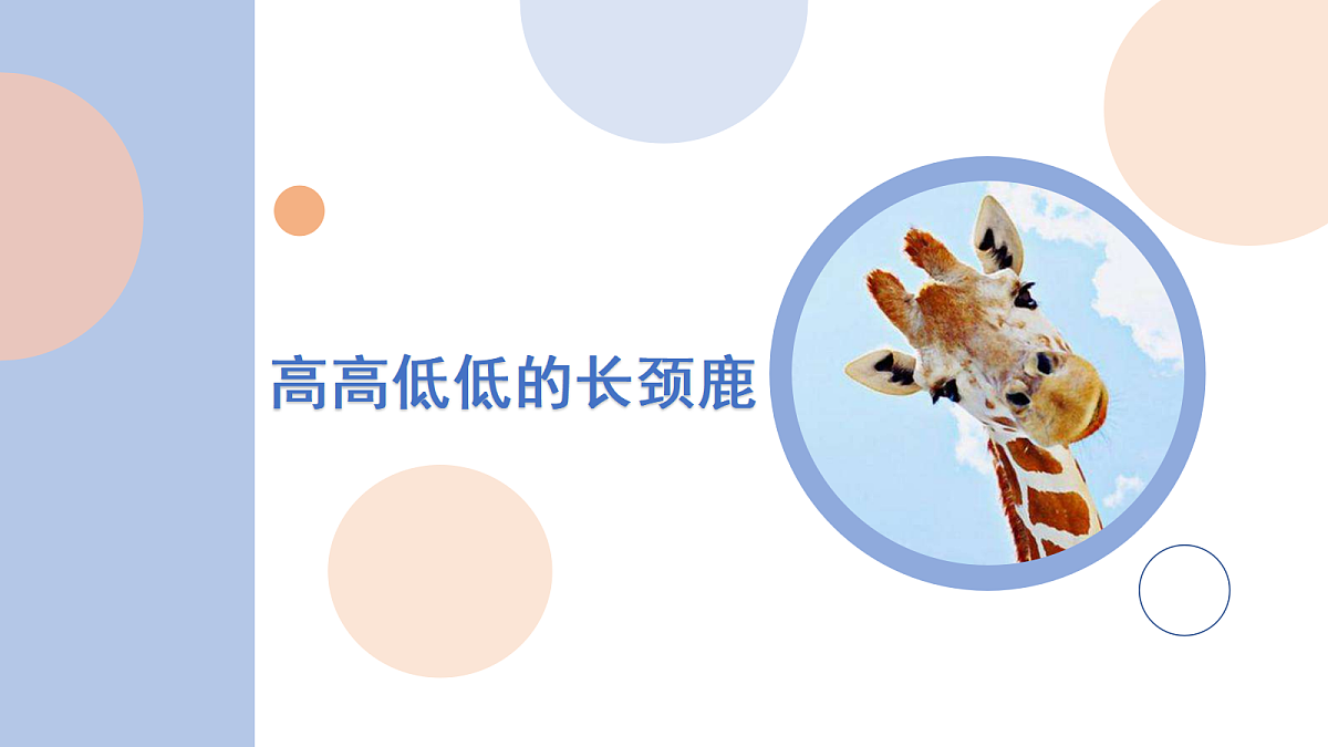 17449534第1页