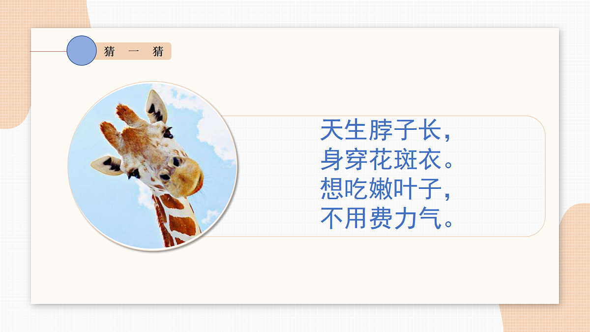 17449534第3页