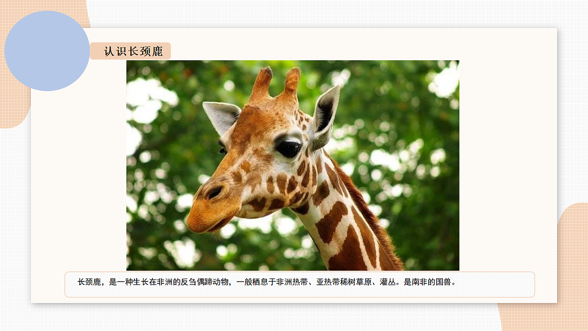 17449534第5页