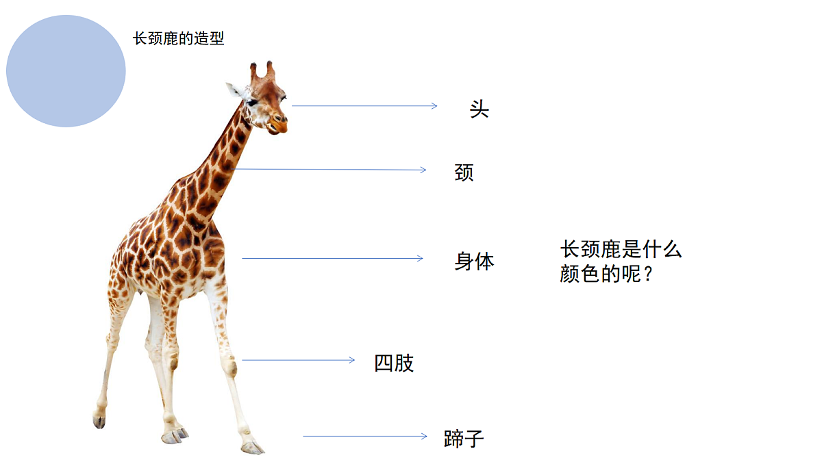 17449534第6页