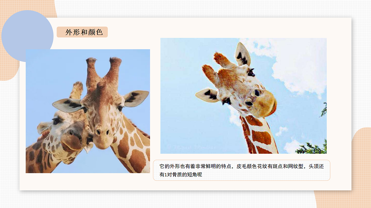 17449534第7页