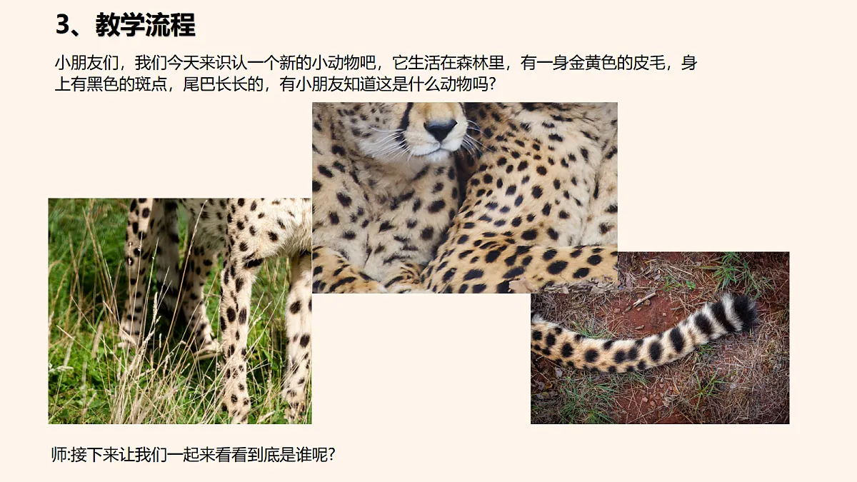 17449537第7页