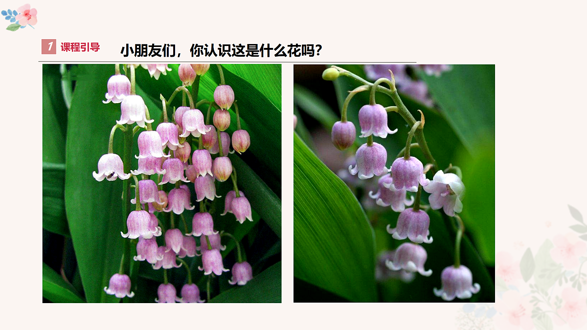 17449538第6页