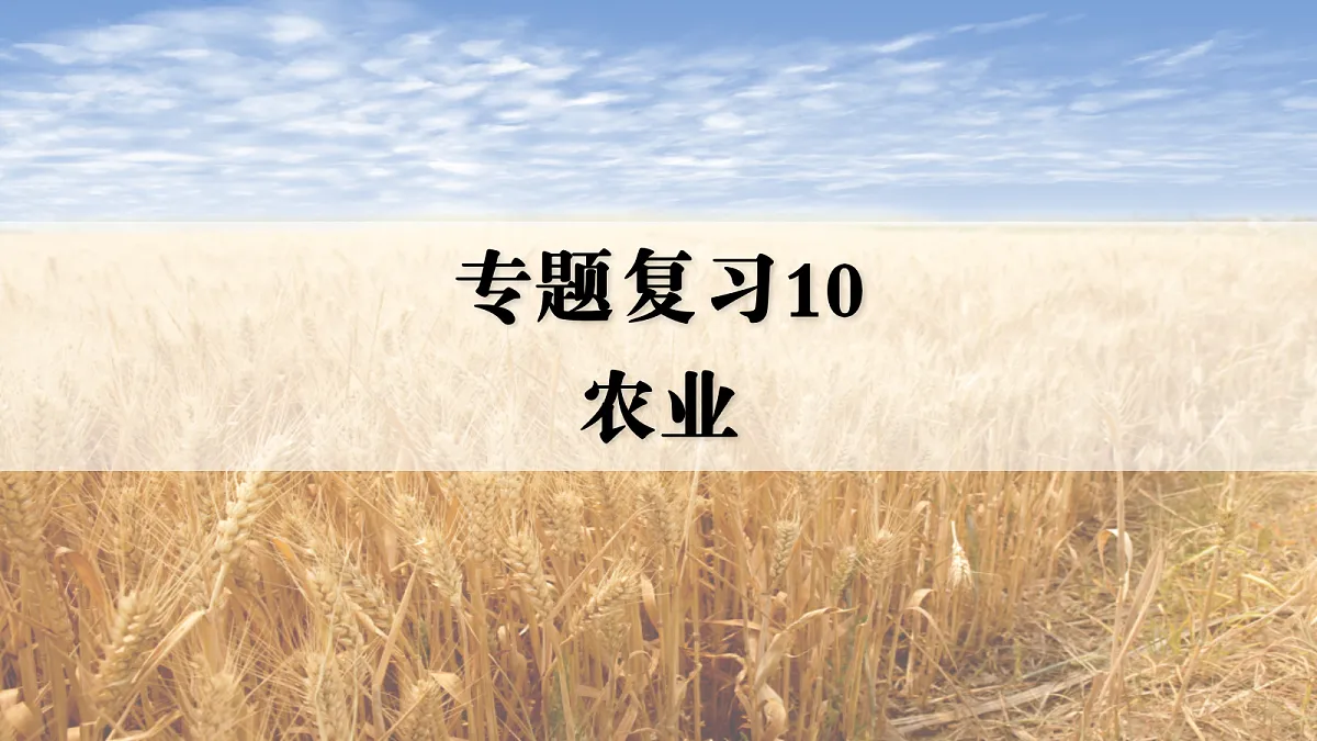 17449840第1页