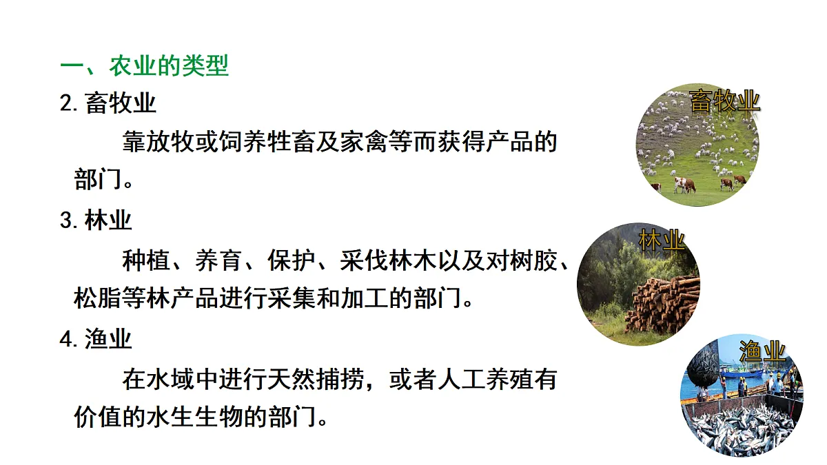17449840第4页
