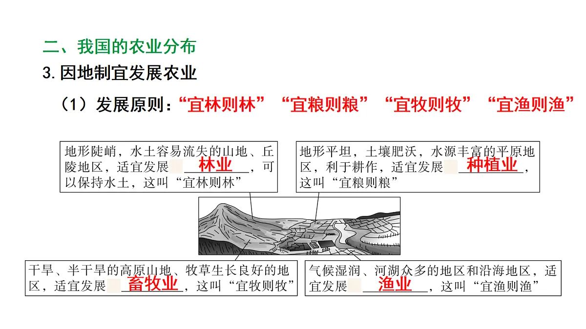 17449840第7页