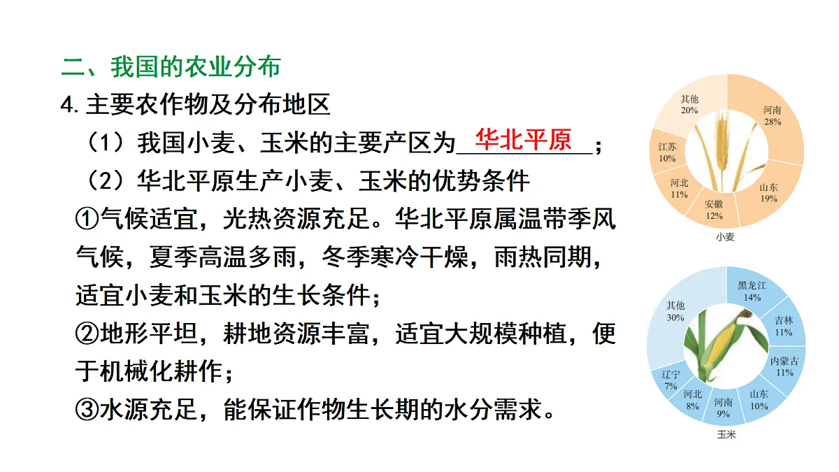 17449840第8页