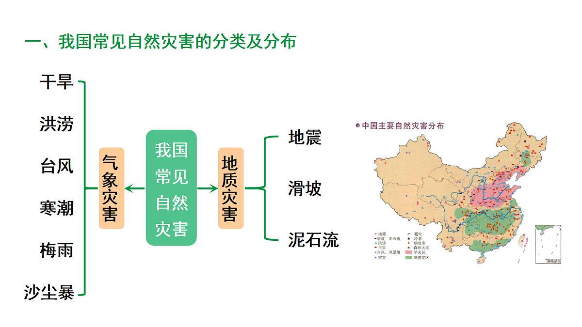 17449842第3页