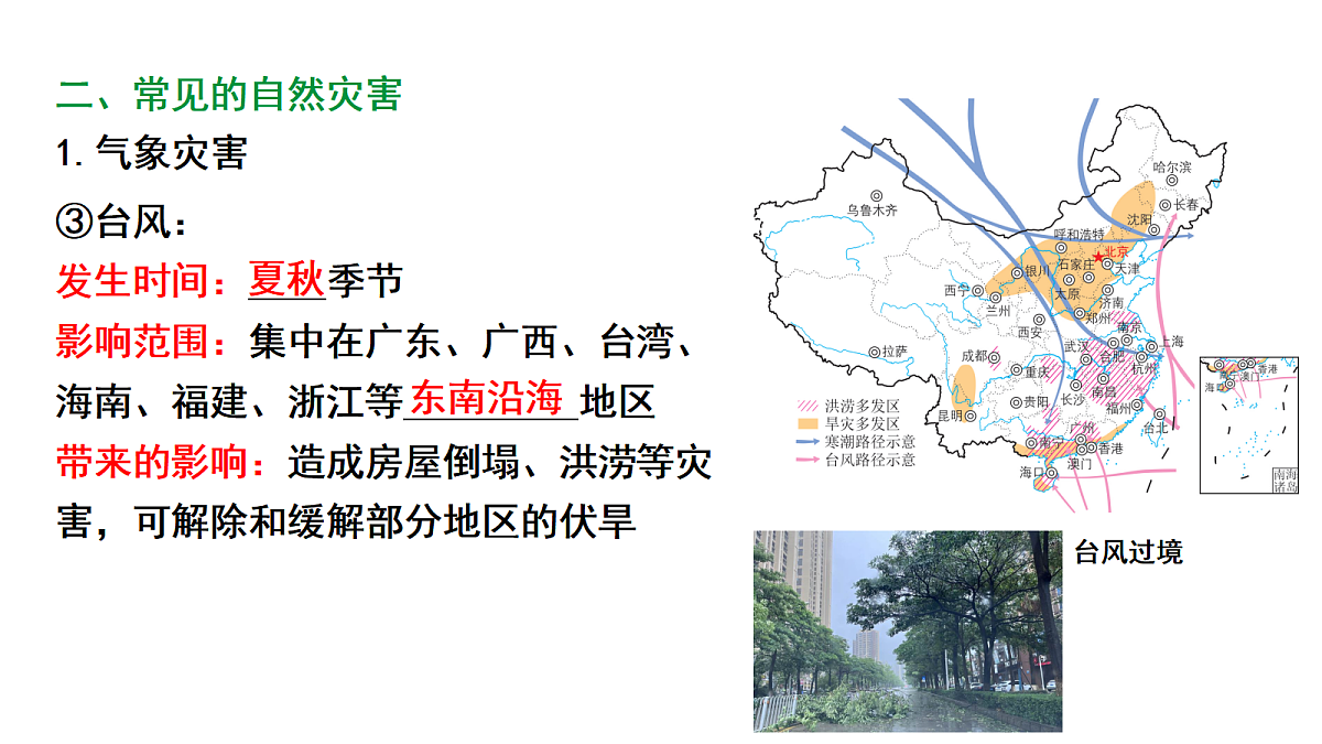 17449842第7页