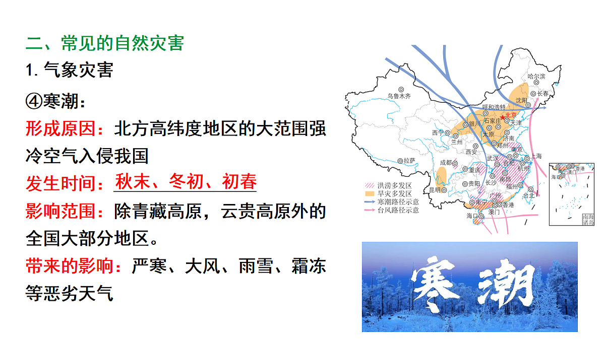17449842第8页