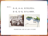 【新教材新课标】湘美版美术二年级上册第3单元第4课《影子的联想》教学课件+教学设计+素材