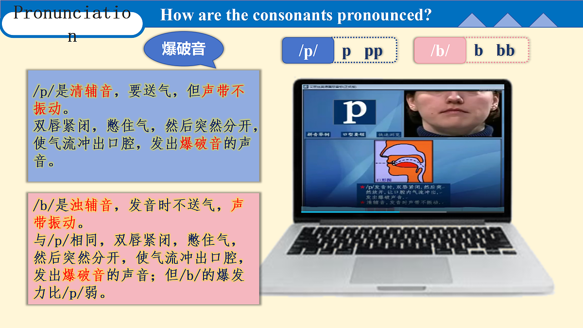 17450667第7页