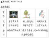 2026年春苏科版八年级物理下册 7.2 重力 力的示意图（课件）