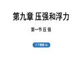 2026年春苏科版八年级物理下册 9.1 压 强（课件）