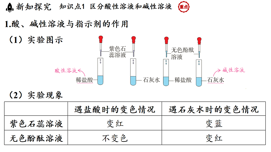 17451281第3页