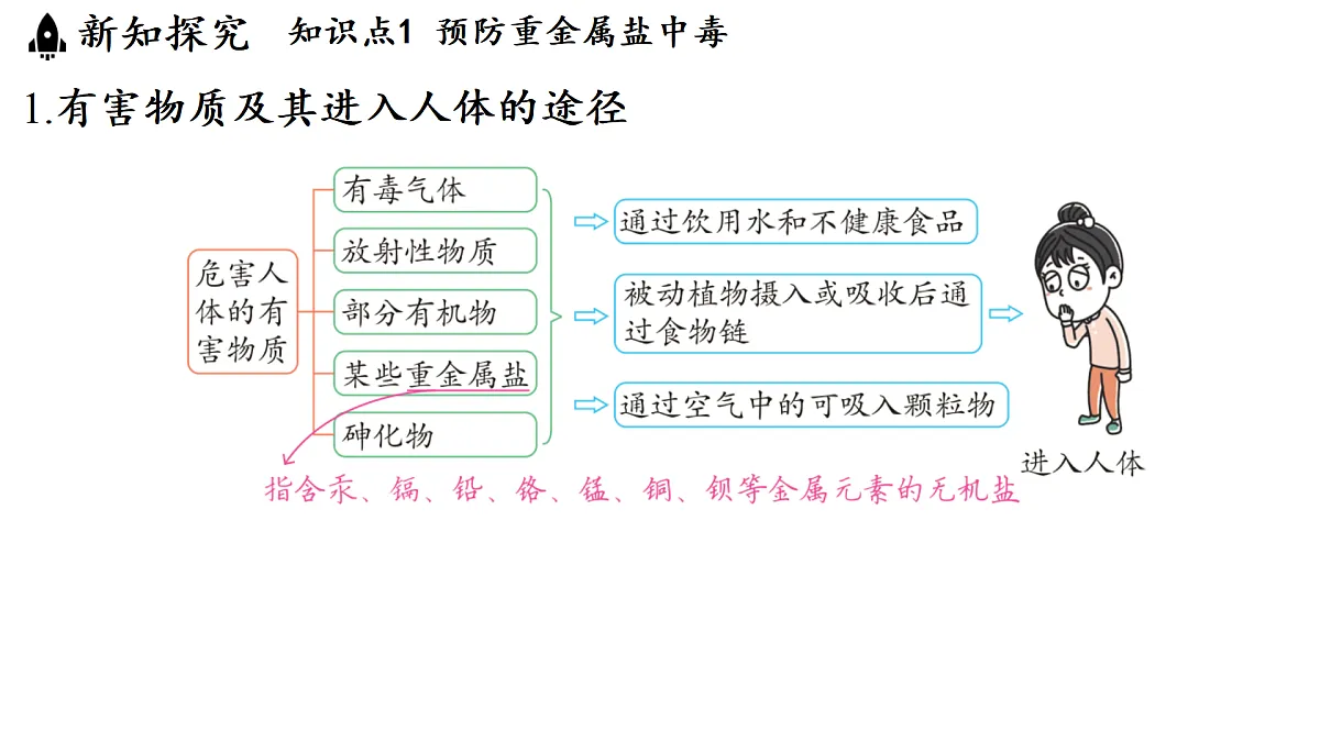 17451295第3页