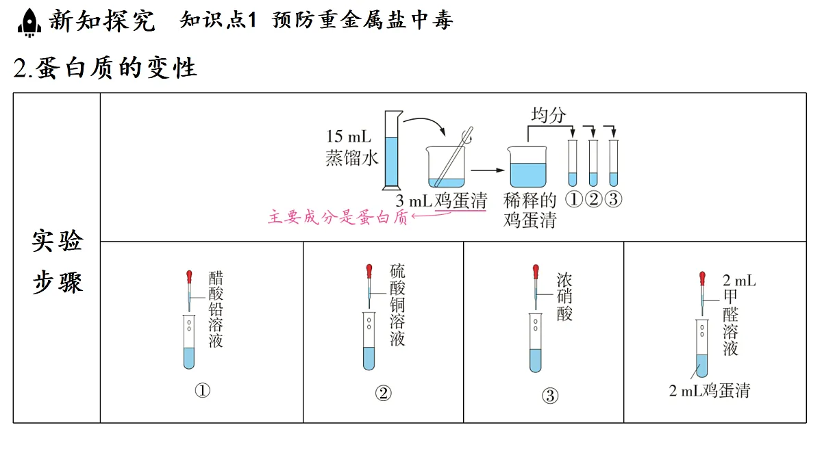 17451295第4页