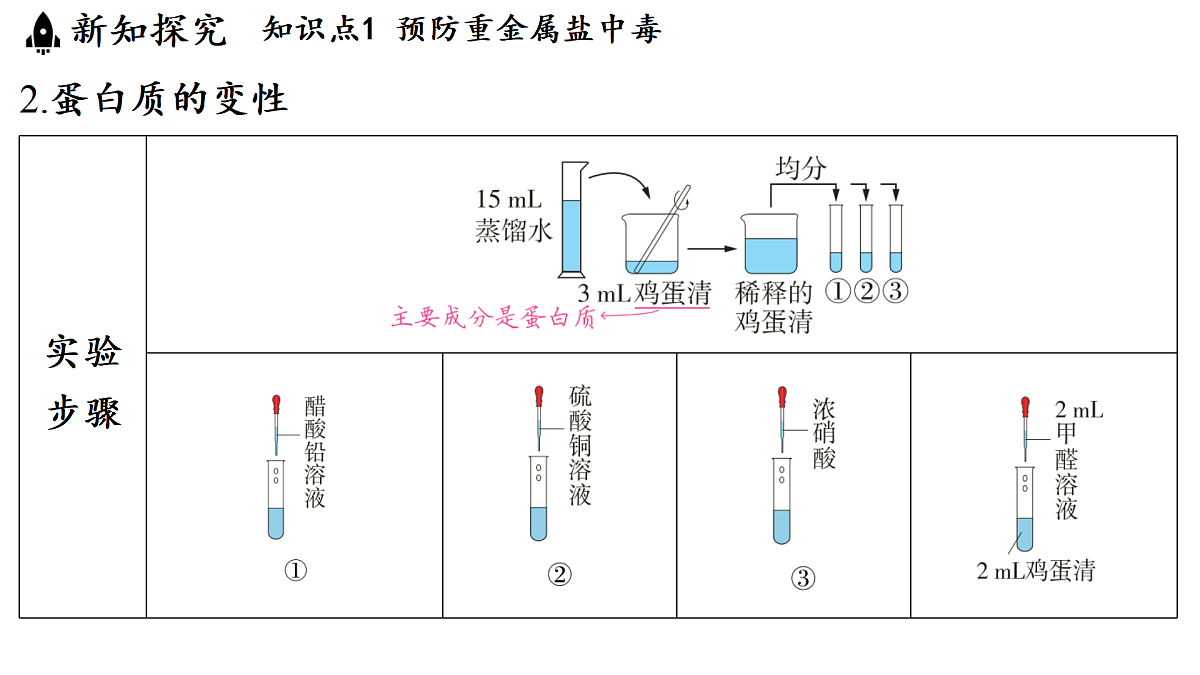 17451295第4页
