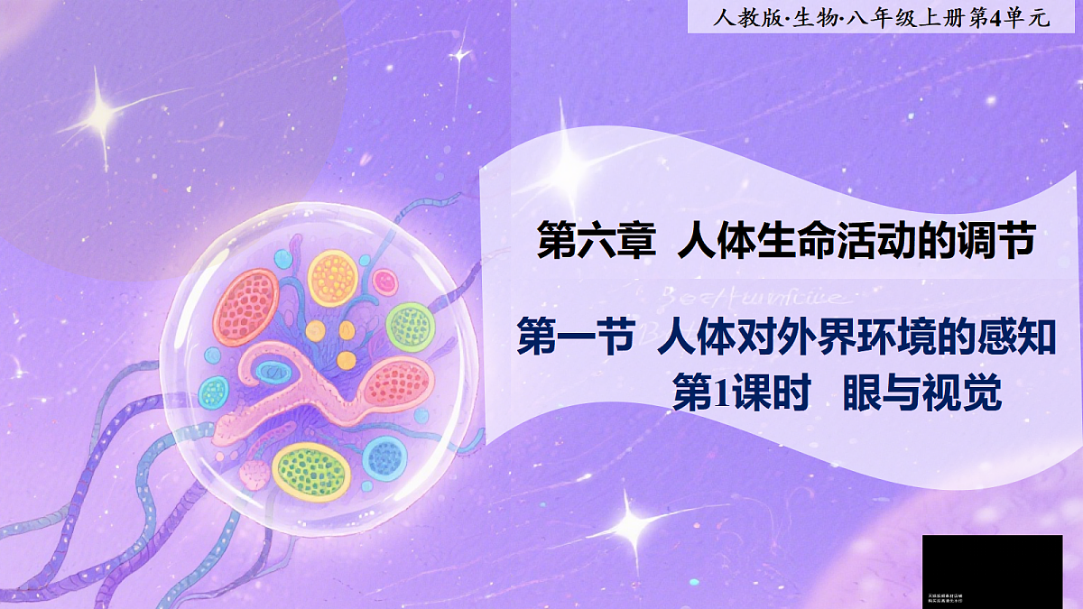 八年级上册生物（人教版） 4. 6.1.1人体对外界环境的感知 第1课时 课件第1页