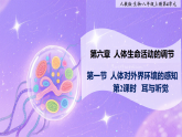 八年级上册生物（人教版） 4.6.1.2人体对外界环境的感知  第2课时   课件+教案