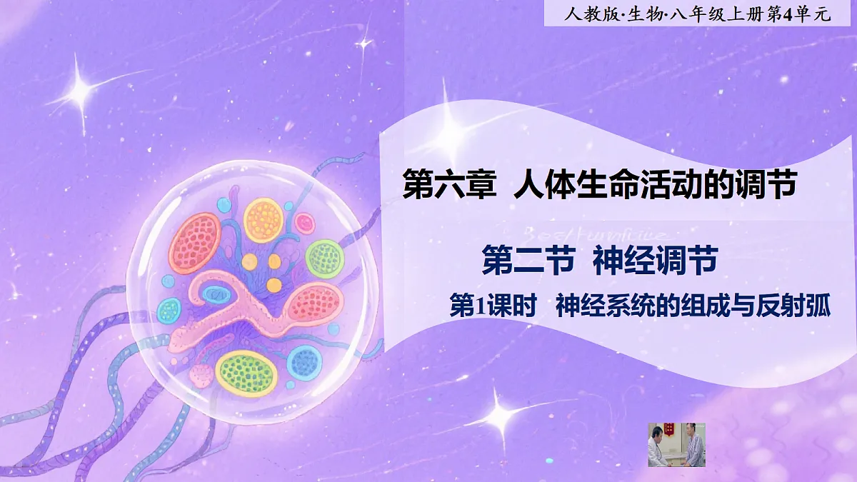 八年级上册生物（人教版） 4.6.2.1神经调节 第1课时 课件第1页