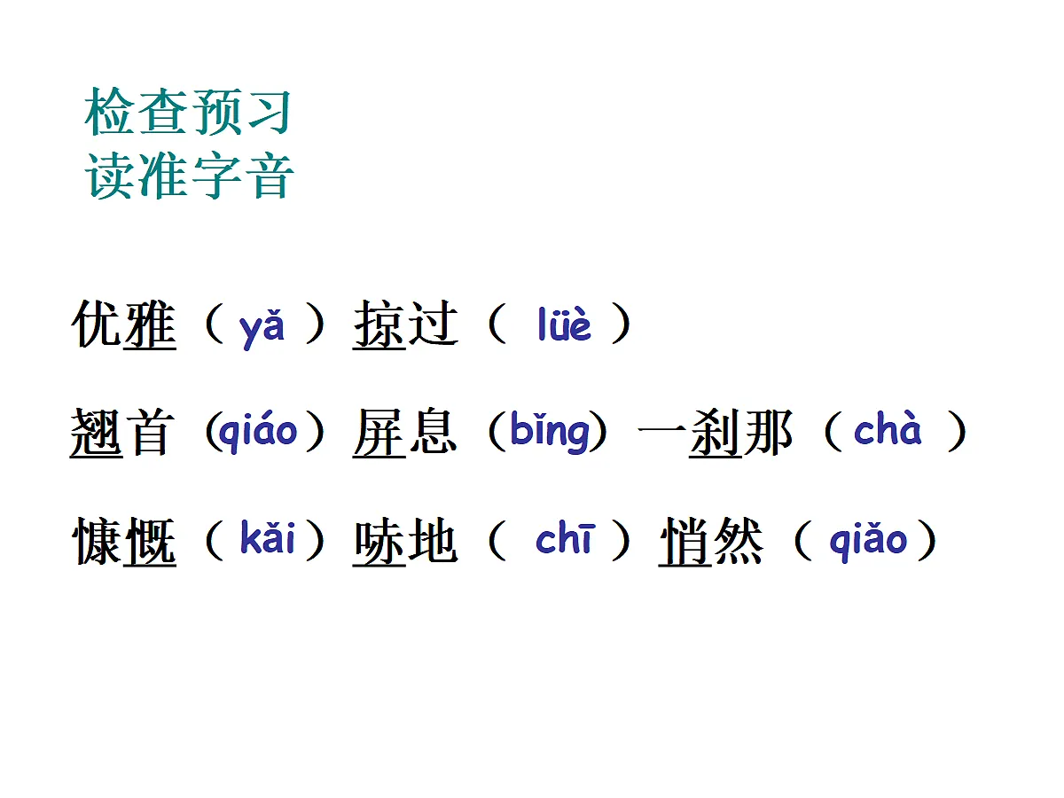 17451483第3页