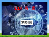 2.3.4 病毒 课件 2025-2026学年人教版生物七年级上册