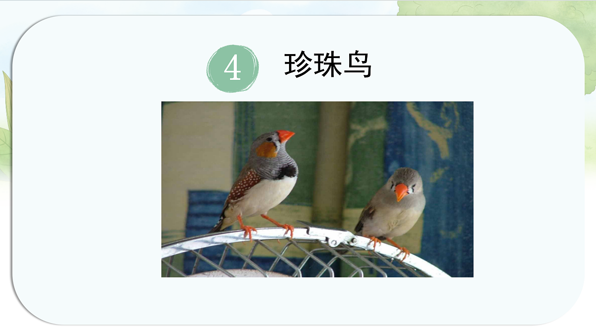 17452034第1页