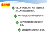 5.16.3内分泌系统的调节 课件 2025-2026学年苏教版八年级生物
