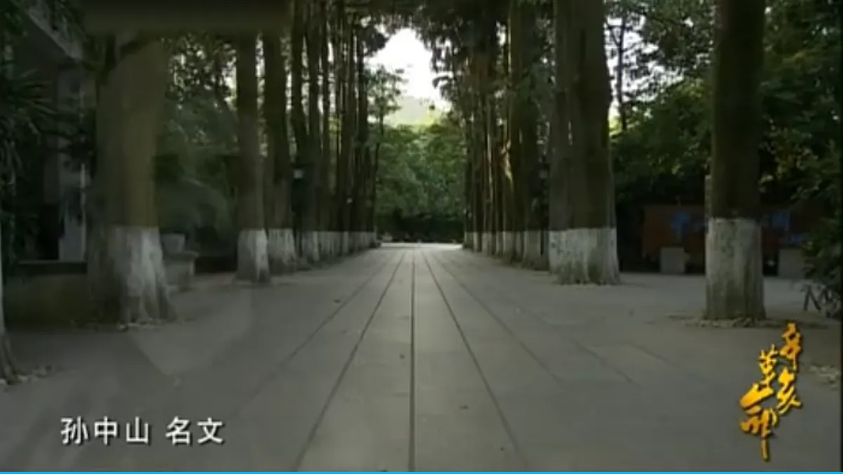17452059第8页