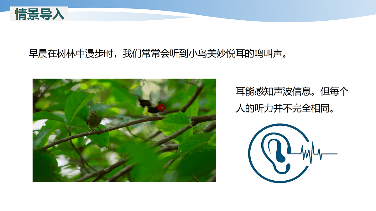 17452109第3页