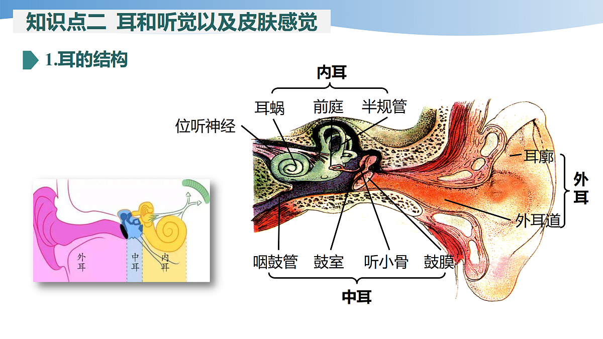 17452109第7页