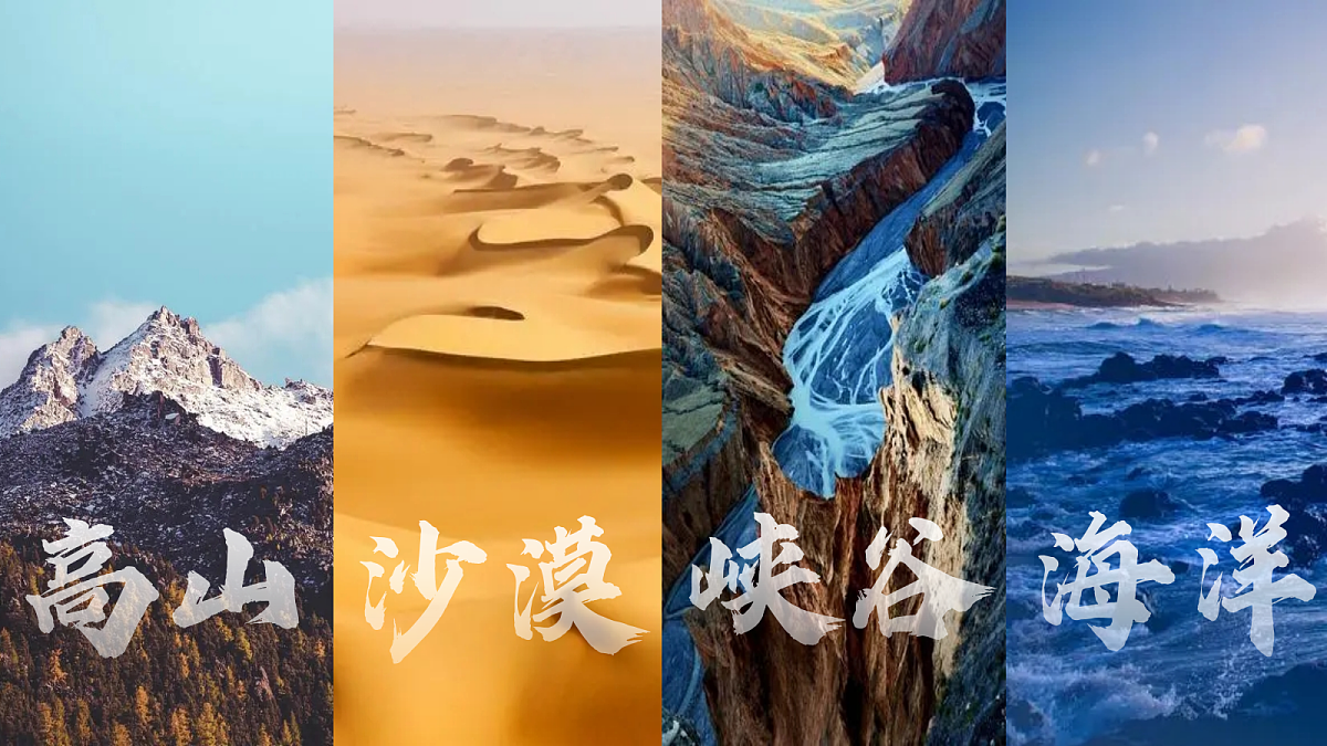 17452293第5页