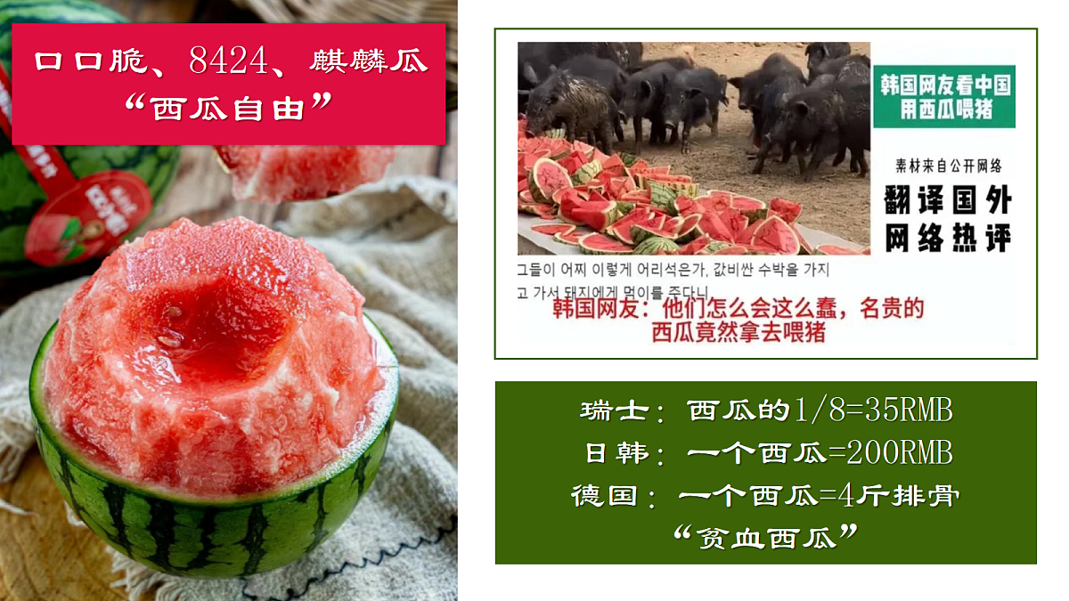 17452294第2页