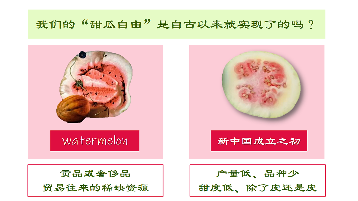 17452294第3页