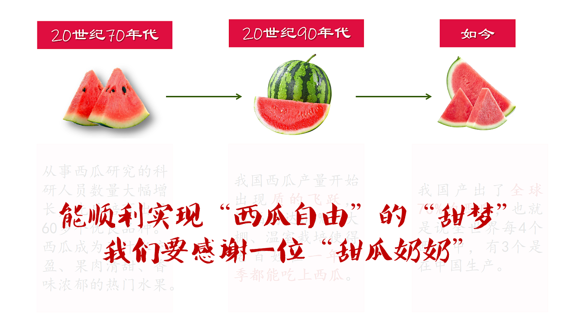 17452294第5页