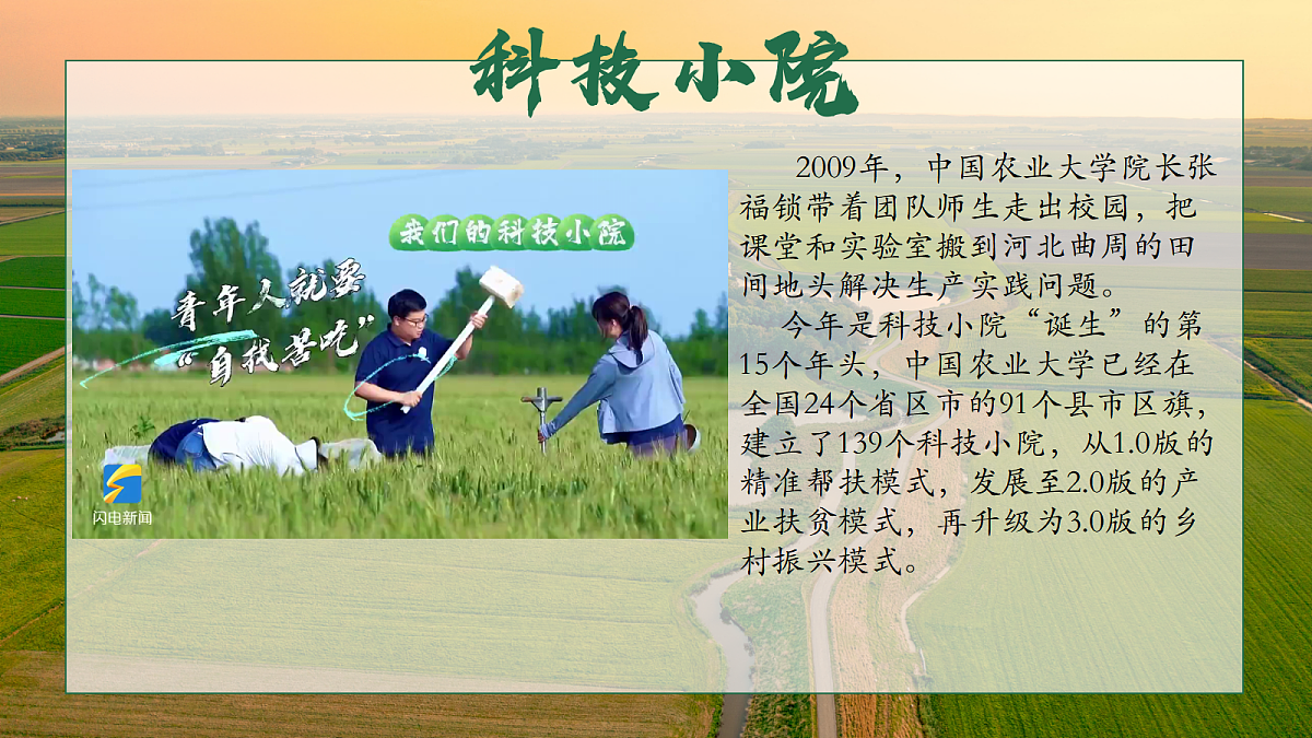 17452323第3页