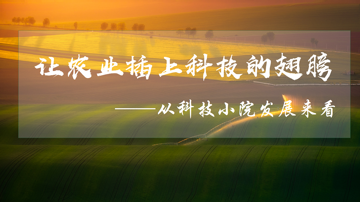 17452323第4页
