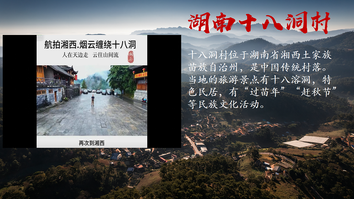17452329第3页