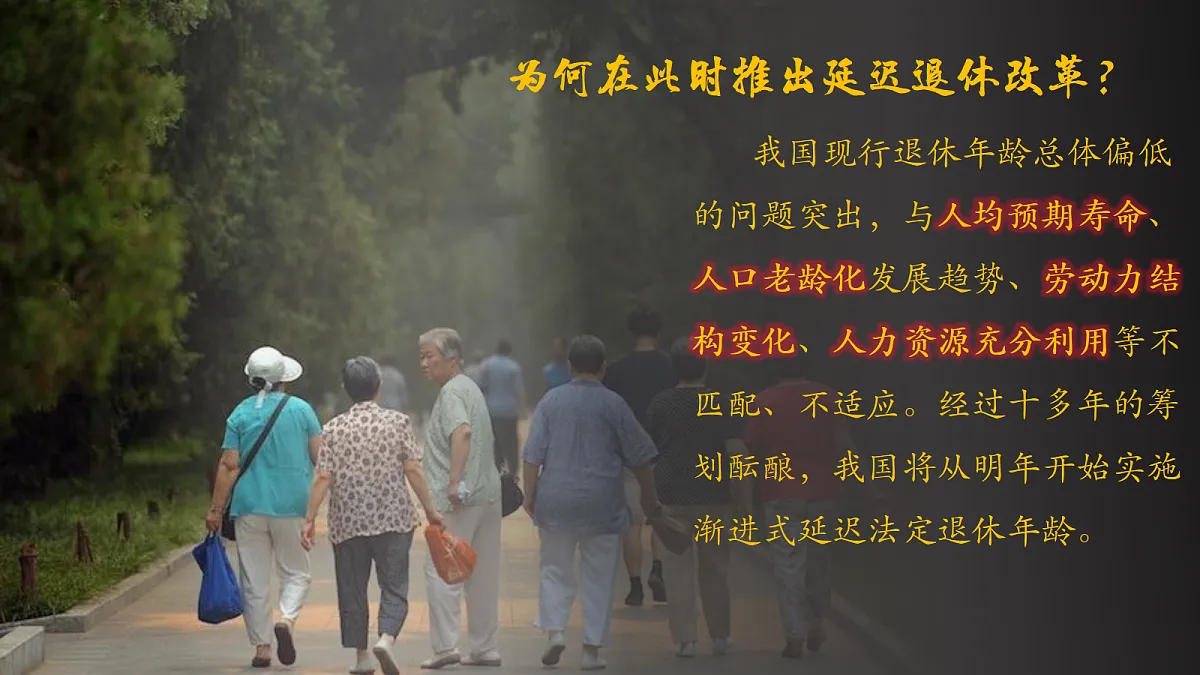 17452332第6页
