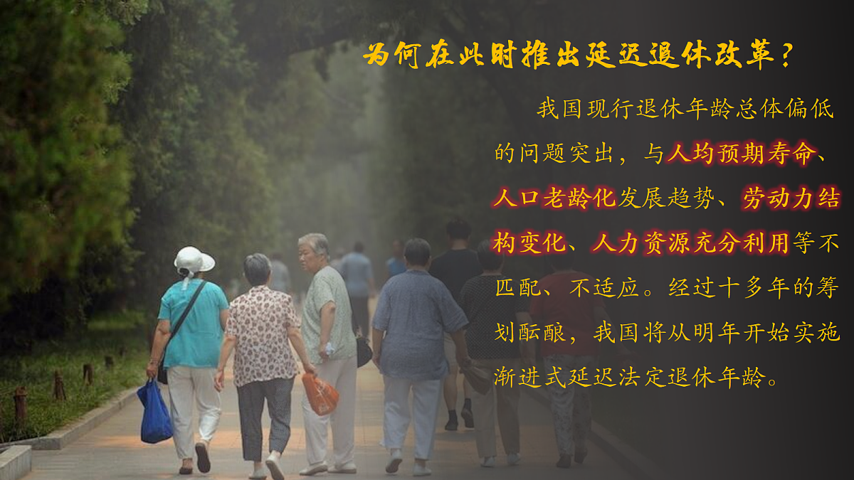 17452332第6页