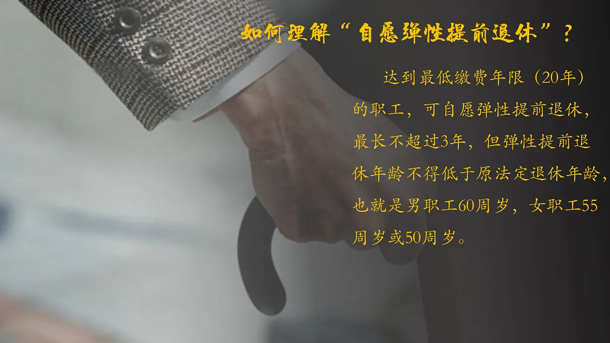 17452332第7页