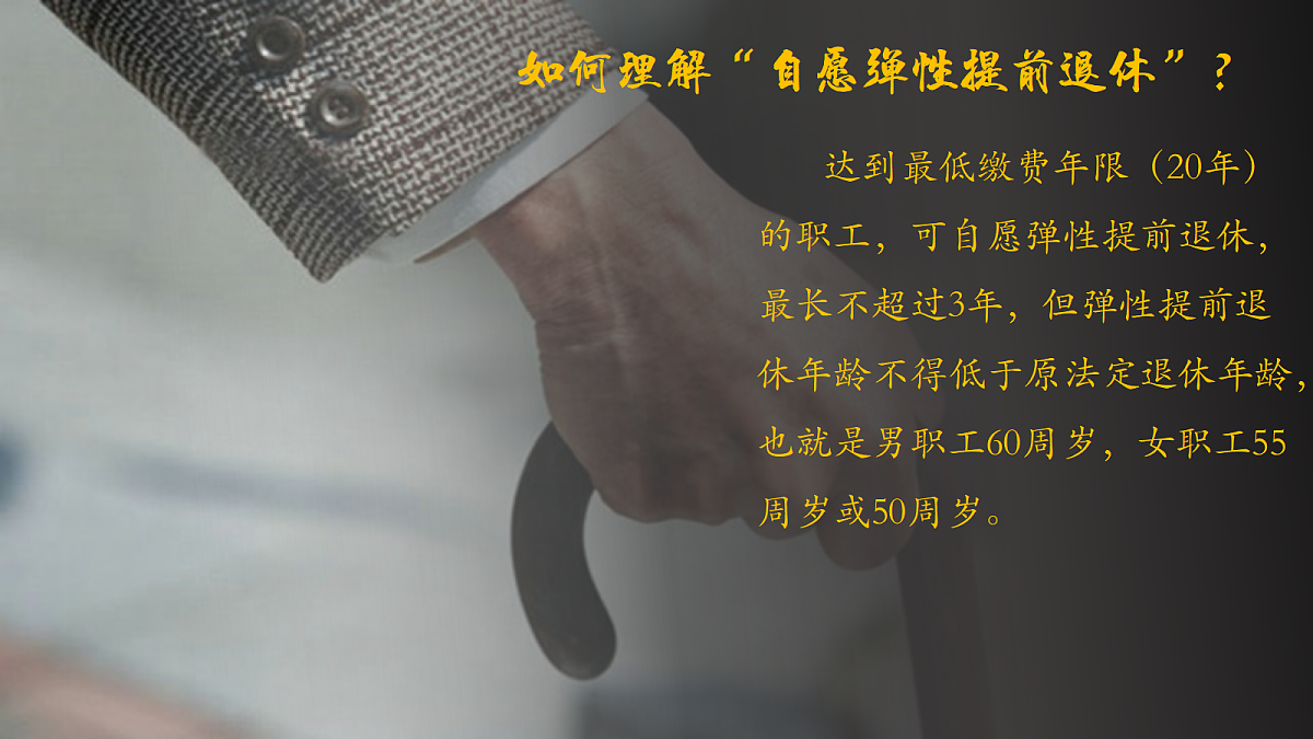 17452332第7页