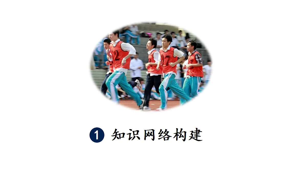 17452802第3页
