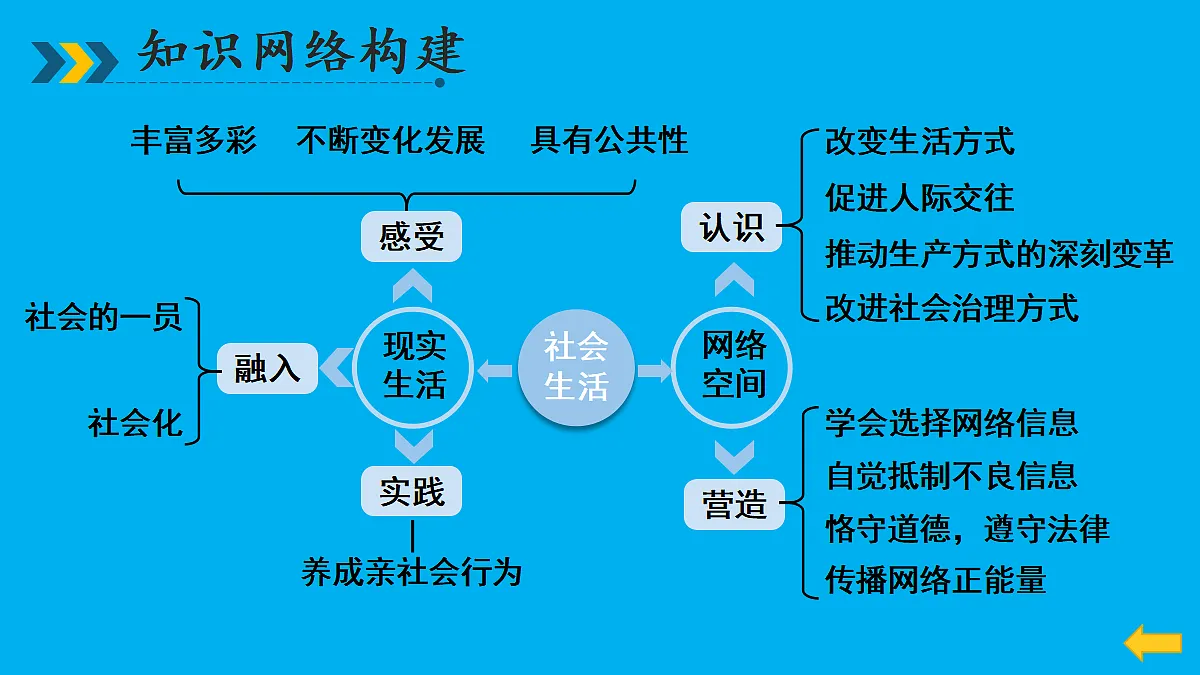 17452803第4页
